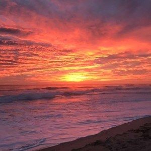 Meet your Posher, Tom